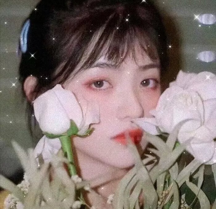 老广的味道第三季